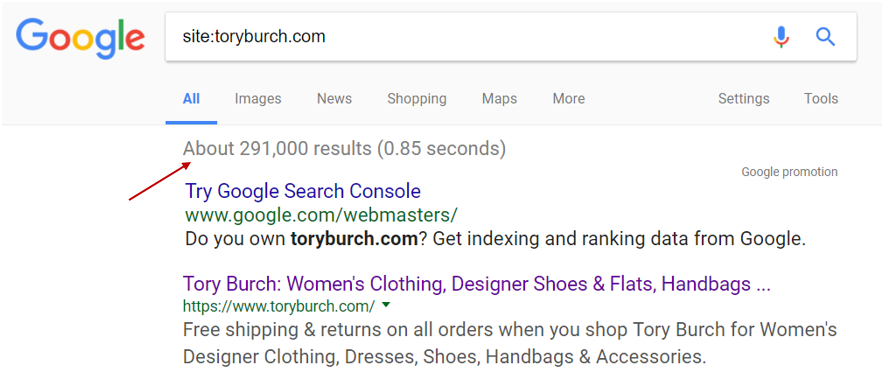 Site search on Google
